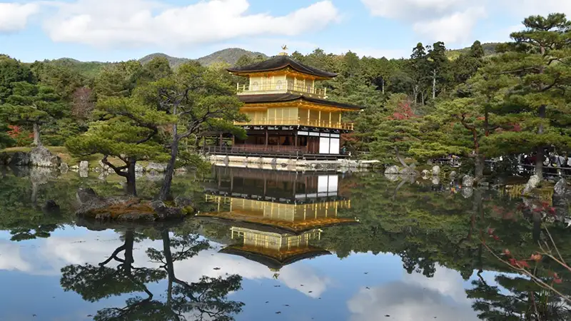 Japan in spring tour Kinkakuji